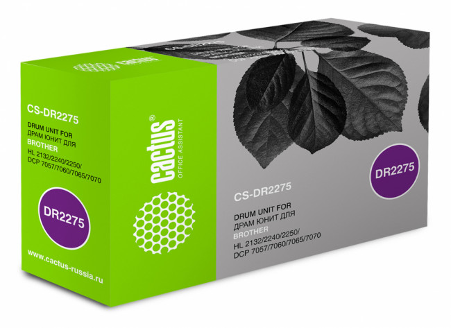 - Cactus CS-DR2275 — для бизнеса и офиса