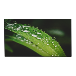 Тонкошовная ЖК панель 49", ADS, FHD, 500 кд/м2, шов: 3.5 мм, входы: VGA/DVI/2xHDMI/DP, выходы: DP, поддержка 4K Dahua DHI-LS490UCM-UF