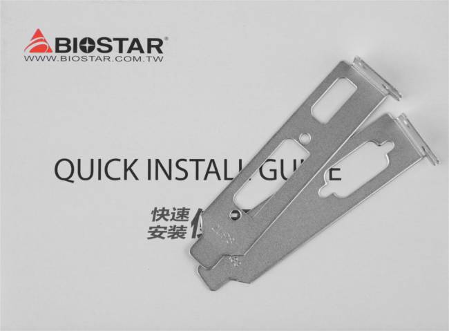 Видеокарта Biostar Microtech Netherlands B.V. VN7313TH41 — для бизнеса и офиса Видеокарта Biostar Microtech Netherlands B.V. VN7313TH41 — для бизнеса и офиса