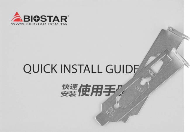 Видеокарта Biostar Microtech Netherlands B.V. VN7313THX1 — для бизнеса и офиса