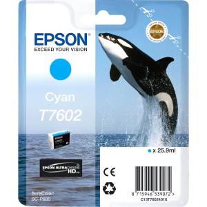 Картридж Epson C13T76024010