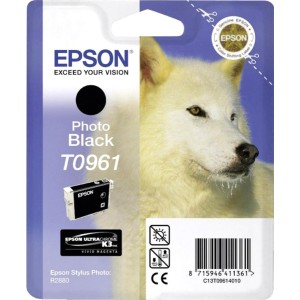 Картридж Epson C13T09614010
