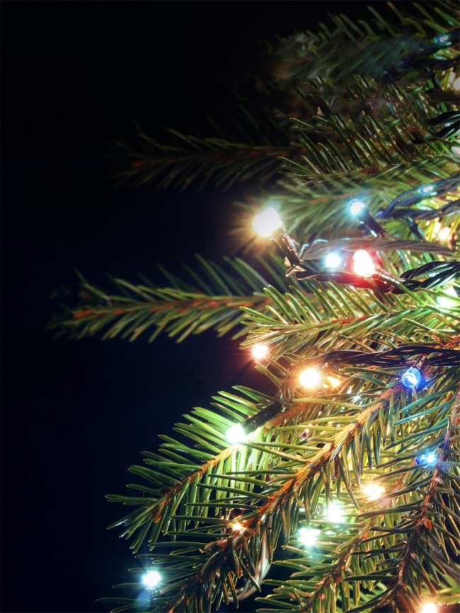 Гирлянда Гирлянда 50LED 220V, 1 режим, 3.5 м, нить, разноцветная