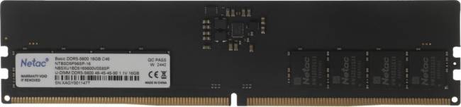 Модуль памяти Netac NTBSD5P56SP-16 — для бизнеса и офиса