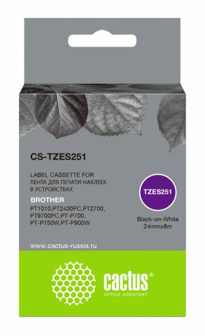 - Cactus CS-TZES251