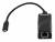 Сетевой адаптер Gigabit Ethernet Digma D-USBC-LAN1000 — для бизнеса и офиса