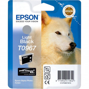 Картридж Epson C13T09674010
