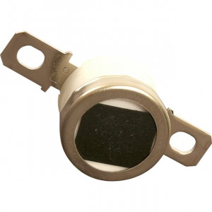 Термостат Ricoh AW110038