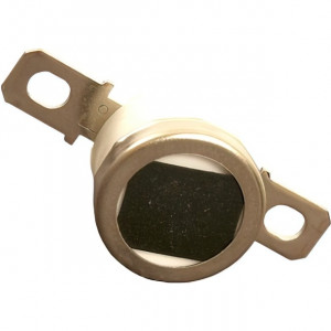 Термостат Ricoh AW110037