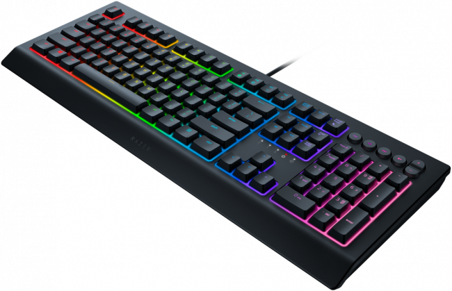 Игровая клавиатура Razer Cynosa V2 Razer Cynosa V2 — для бизнеса и офиса