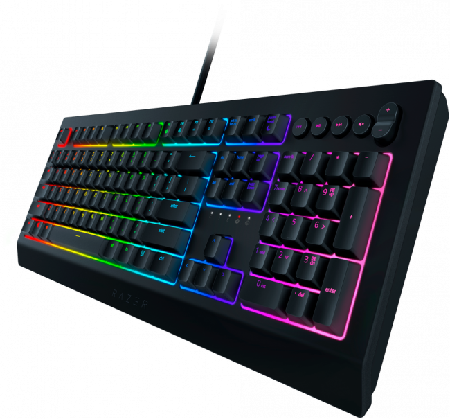 Игровая клавиатура Razer Cynosa V2 Razer Cynosa V2 — для бизнеса и офиса