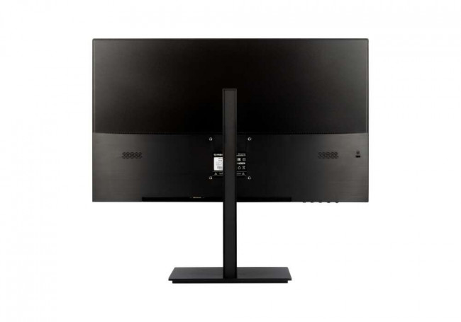 Монитор IRBIS 24FIDL01_MIR