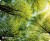 Defender Коврик для компьютерной мыши Silk Pad Nature 230x190x1.6 мм, 10 видов Defender Silk Pad Nature