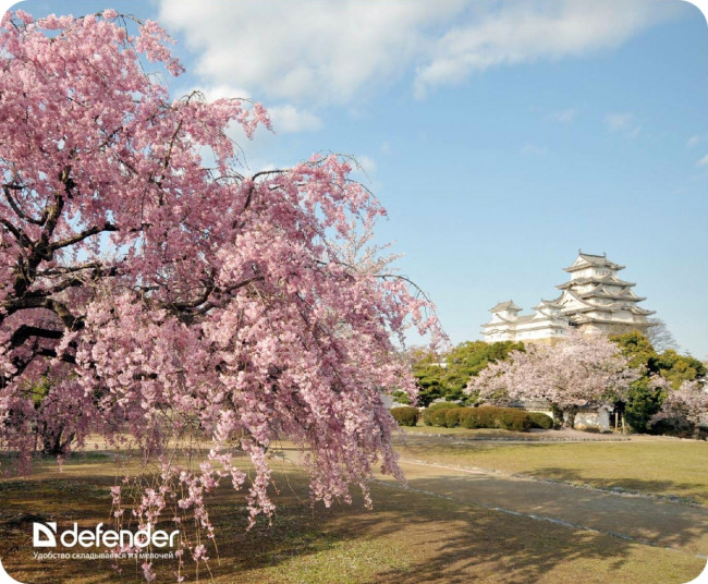 Defender Коврик для компьютерной мыши Silk Pad Nature 230x190x1.6 мм, 10 видов Defender Silk Pad Nature