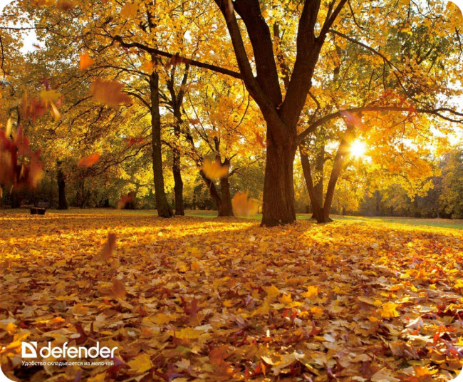 Defender Коврик для компьютерной мыши Silk Pad Nature 230x190x1.6 мм, 10 видов Defender Silk Pad Nature