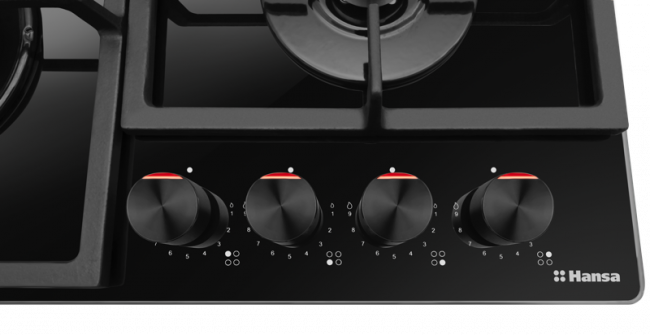Встраиваемая варочная панель Hansa BHKS630540 — для бизнеса и офиса