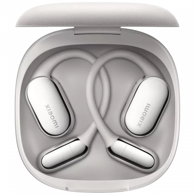 Наушники вкладыши Xiaomi BHR080DGL — для бизнеса и офиса Наушники вкладыши Xiaomi BHR080DGL — для бизнеса и офиса