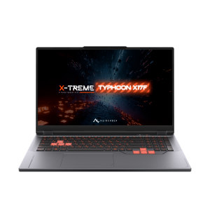 Ноутбук Maibenben Typhoon X17F-R77435 (X17F-R774350G34LG4E10)