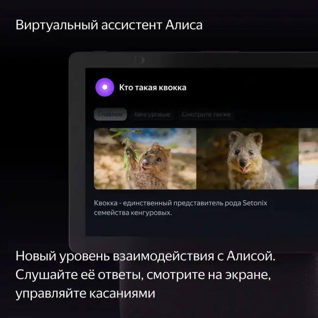 Умная колонка Умная колонка Яндекс Станция Дуо Макс, модель YNDX-00055 (красный) — для бизнеса и офиса Умная колонка Умная колонка Яндекс Станция Дуо Макс, модель YNDX-00055 (красный) — для бизнеса и офиса