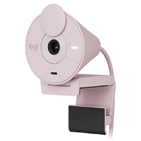 Веб-камера Logitech Brio 300 Full HD webcam - ROSE - USB