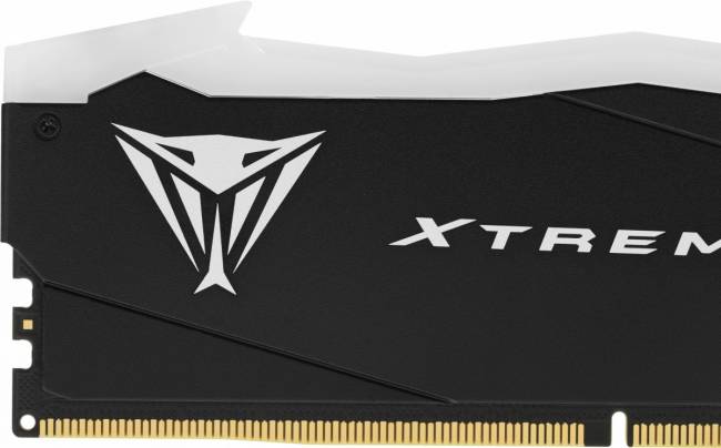Память DDR5 2x16Gb 8000MHz Patriot PVXR532G80C38K — для бизнеса и офиса