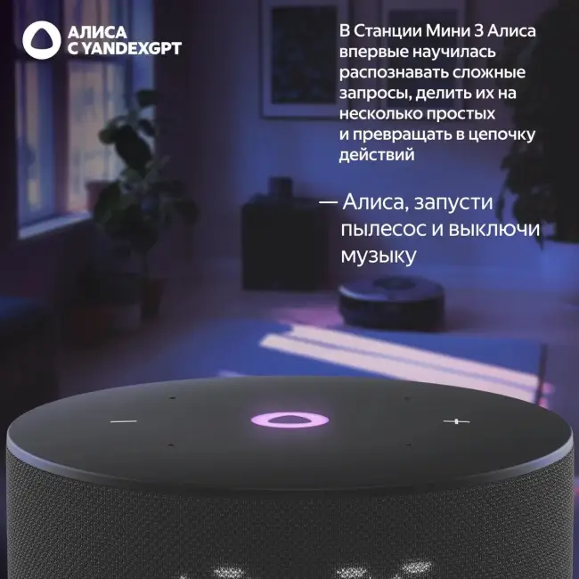 Умная колонка ЯНДЕКС Станция Мини 3, 12Вт, с Алисой на YaGPT, черный — для бизнеса и офиса