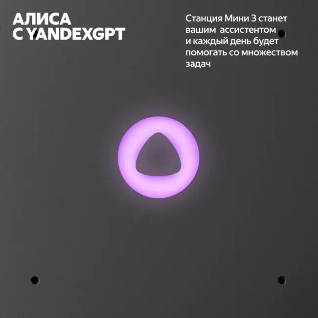 Умная колонка ЯНДЕКС Станция Мини 3, 12Вт, с Алисой на YaGPT, черный — для бизнеса и офиса