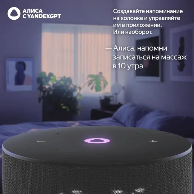 Умная колонка ЯНДЕКС Станция Мини 3, 12Вт, с Алисой на YaGPT, черный — для бизнеса и офиса