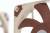 Кулер для корпуса Noctua NF-A12x15 PWM — для бизнеса и офиса Кулер для корпуса Noctua NF-A12x15 PWM — для бизнеса и офиса