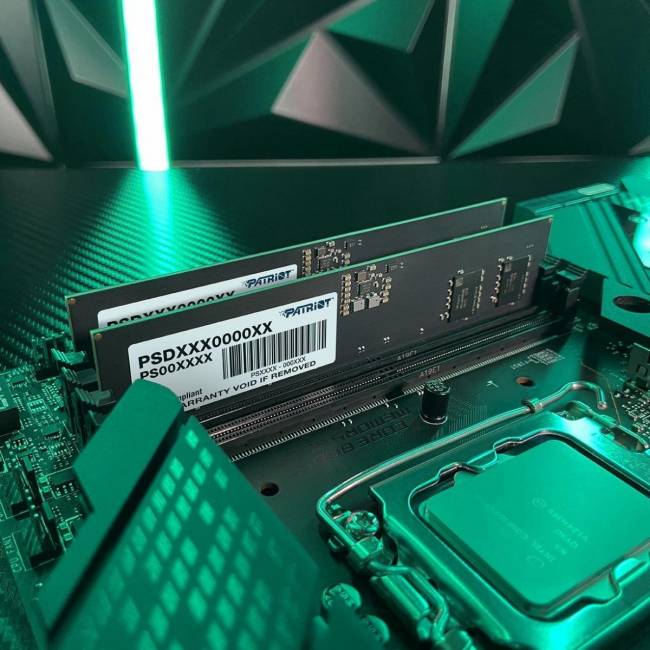 Память DDR5 16GB 5600MHz Patriot PSD516G56002 — для бизнеса и офиса