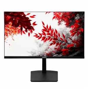 Монитор RDW 3207K/Q12B3100V2A1B