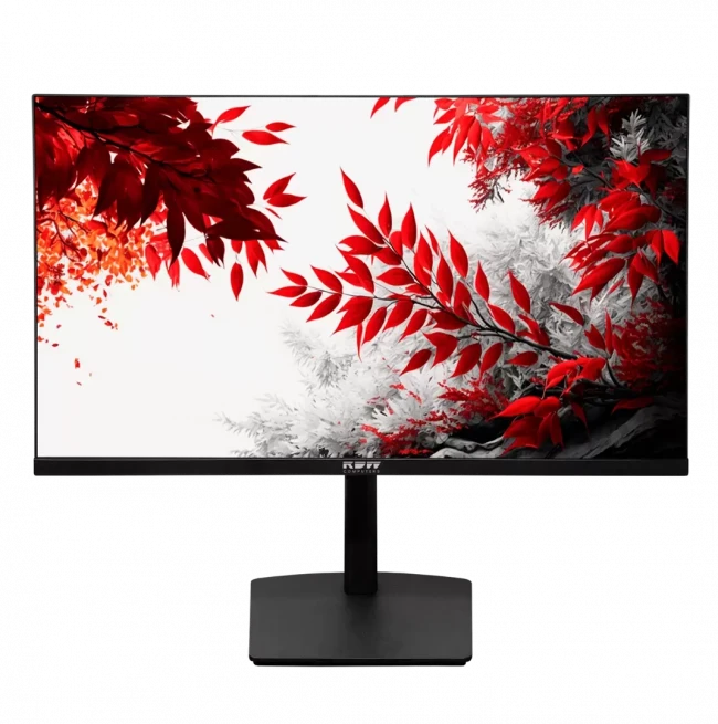 Монитор RDW 3207K/Q12B3100V2A1B — для бизнеса и офиса