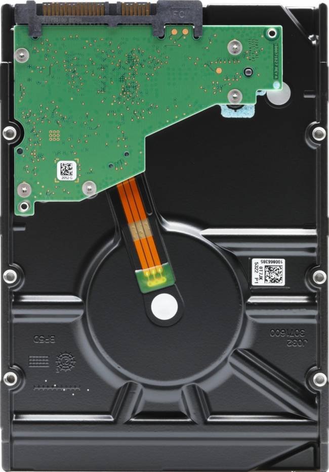 Жесткий диск Seagate ST10000NM017B — для бизнеса и офиса