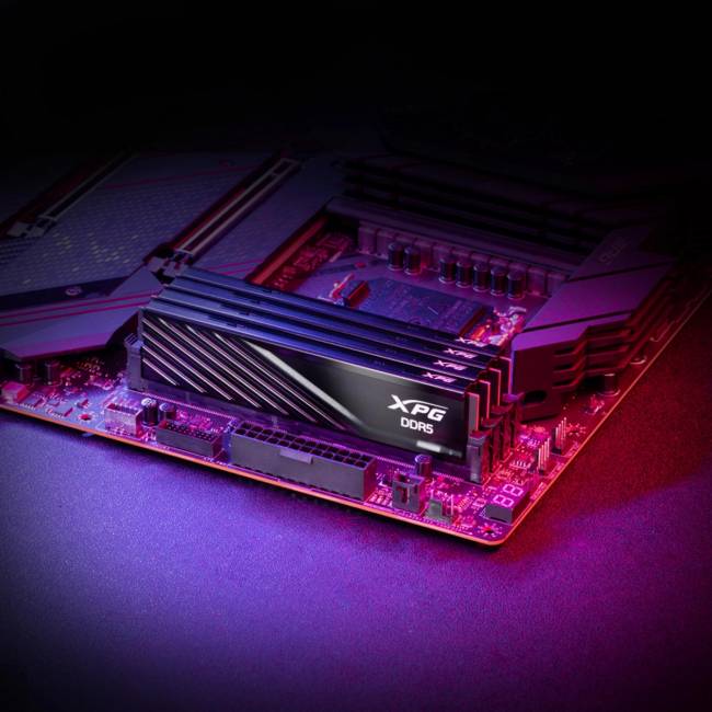 Память DDR5 2x16GB 6000MHz ADATA AX5U6000C3016G-DTLABBK — для бизнеса и офиса Память DDR5 2x16GB 6000MHz ADATA AX5U6000C3016G-DTLABBK — для бизнеса и офиса
