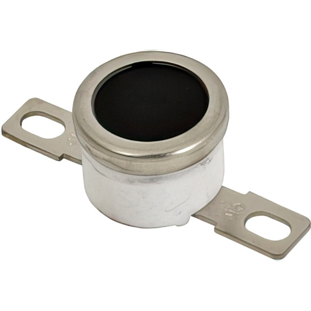 Термостат Ricoh AW110064 — для бизнеса и офиса