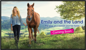 Дисплей Sharp PNHW431 Sharp PNHW431