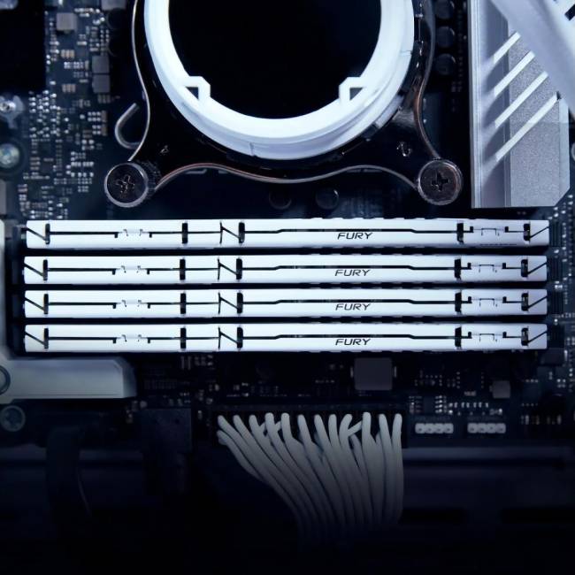 Память оперативная Kingston FURY Beast KF552C40BWK4-64 — для бизнеса и офиса