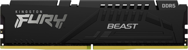 Память оперативная Kingston FURY Beast Black KF556C40BB-8