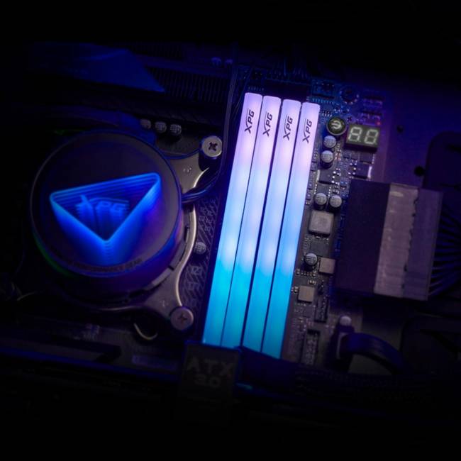 Память DDR5 2x16GB 6400MHz ADATA AX5U6400C3216G-DTLABRWH — для бизнеса и офиса