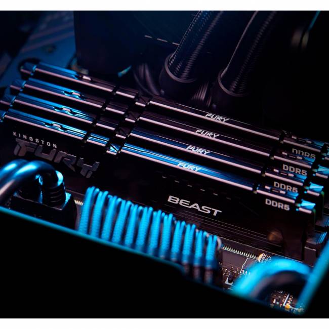 Память оперативная Kingston FURY Beast KF556C40BBK4-64 — для бизнеса и офиса