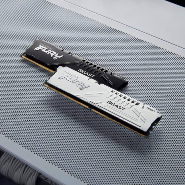 Память оперативная Kingston FURY Beast KF556C40BWK4-64 — для бизнеса и офиса