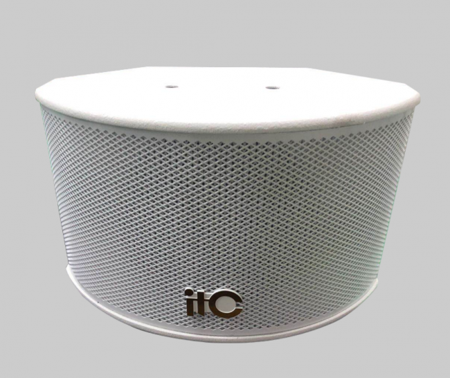 6.5-дюймовый профессиональный полнодиапазонный громкоговоритель, 120 Вт, 8 Ом, белый цвет Guangdong BaoLun Electronics TS-606HW — для бизнеса и офиса