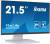 Монитор IIYAMA T2252MSC-W2 — для бизнеса и офиса
