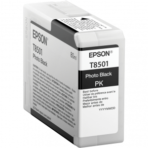 Картридж Epson C13T850100