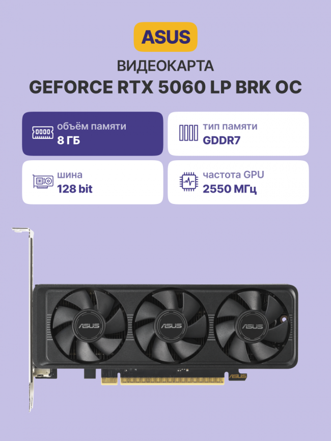 Видеокарта ASUS RTX5060-O8G-LP-BRK (90YV0N90-M0NA00) — для бизнеса и офиса Видеокарта ASUS RTX5060-O8G-LP-BRK (90YV0N90-M0NA00) — для бизнеса и офиса
