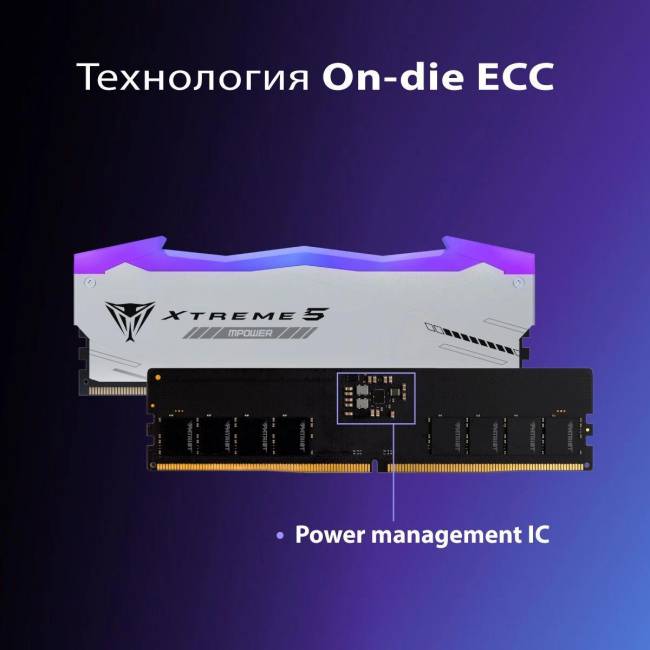 Память DDR5 2x16GB 8000MHz Patriot PVXR532G80C38KM — для бизнеса и офиса