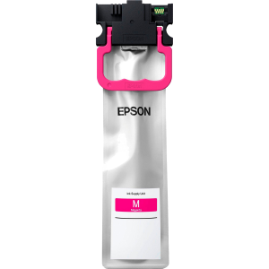 Картридж Epson C13T01C300