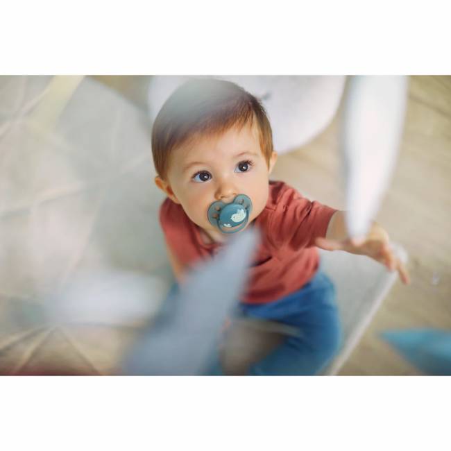 Пустышка ultra soft, птичка, 6-18 мес., 1 шт. AVENT SCF092/04 — для бизнеса и офиса Пустышка ultra soft, птичка, 6-18 мес., 1 шт. AVENT SCF092/04 — для бизнеса и офиса