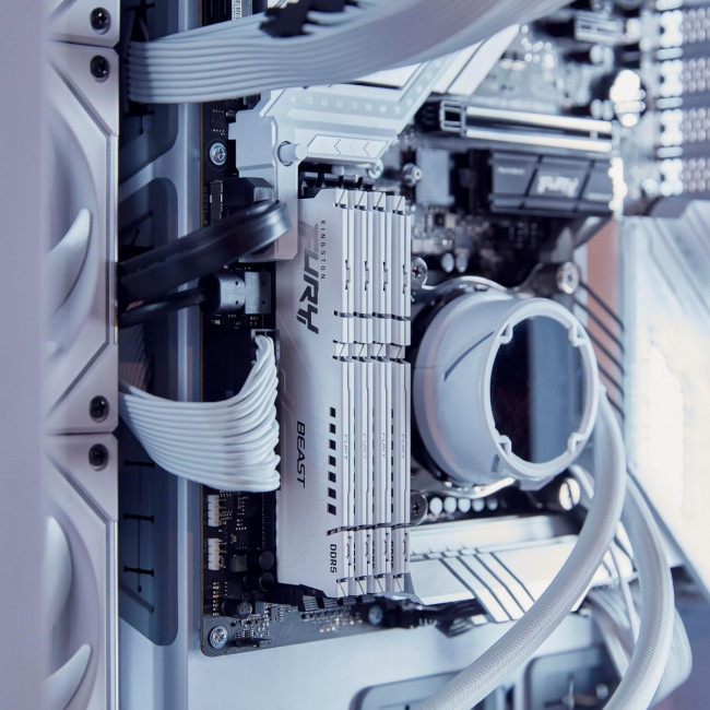 Память оперативная Kingston FURY Beast KF552C40BWK2-32 — для бизнеса и офиса