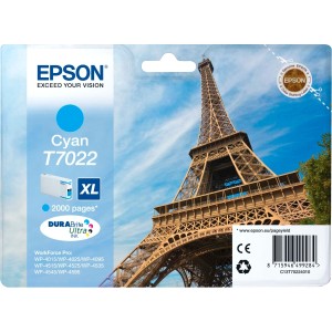Картридж Epson C13T70224010